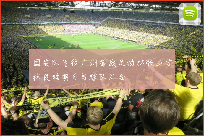 国安队飞往广州备战足协杯张玉宁林良铭明日与球队汇合
