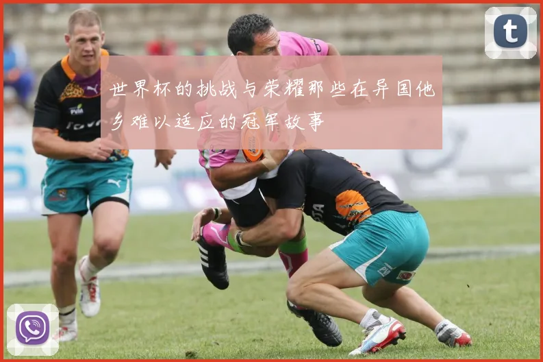 世界杯的挑战与荣耀那些在异国他乡难以适应的冠军故事